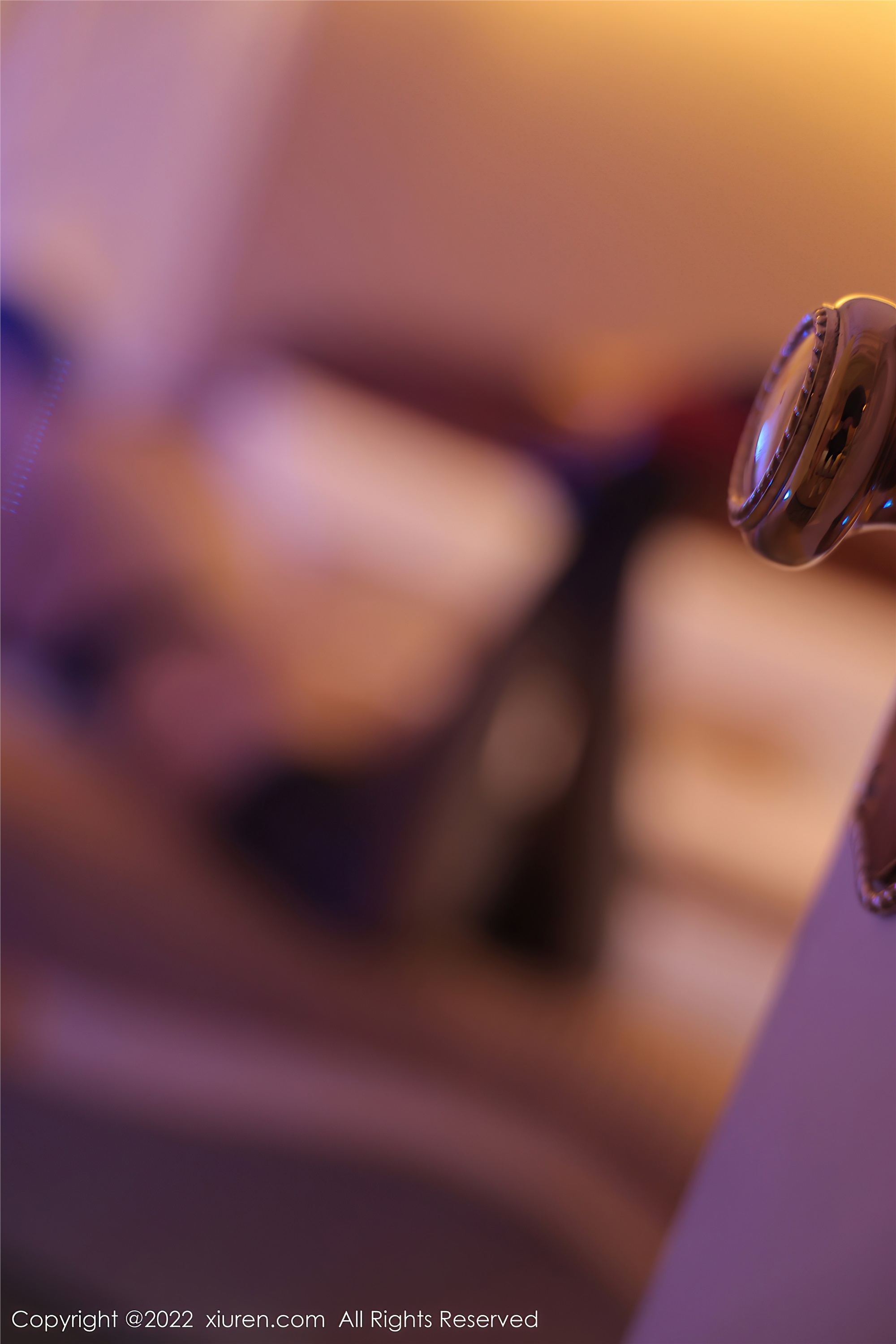 Xiuren秀人网 2022.09.15 NO.5589 田冰冰